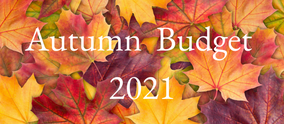 Autumn Budget 2021 (1)